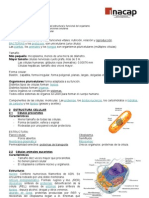 Células: Estructura y Función