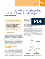 Metabolismo de Lipidos. ácilgliceroles y fosfolipidos.Herrera