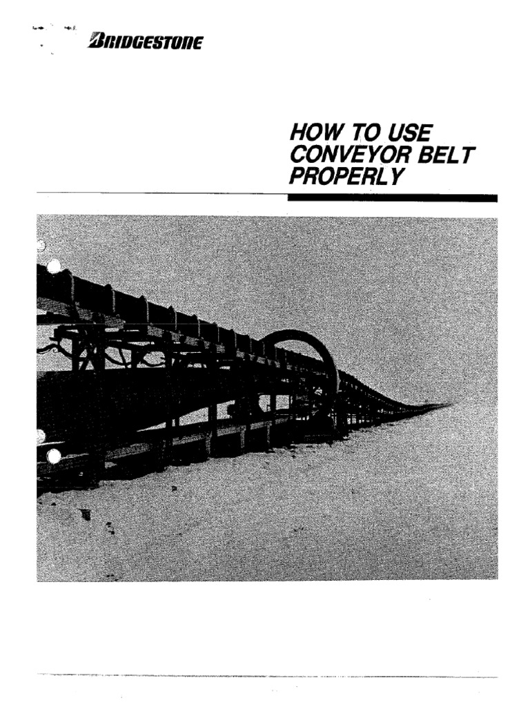 Manual Bridgestone PDF