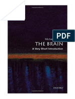 The Brain: A Very Short Introduction - Michael O'Shea