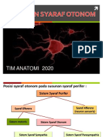 Syaraf Otonom