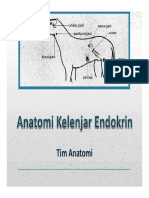 Anatomi Kel. Endokrin-1