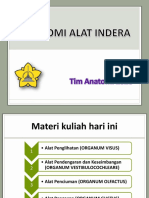 Anatomi Alat Indera