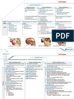 Masseter Muscle Temporalis Muscle Lateral Pterygoid Ms. Medial Pterygoid Ms