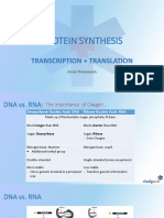 Protein Synthesis: Transcription + Translation