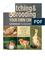 Hatching and Brooding Your Own Chicks - Sustainability