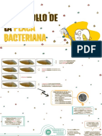 Desarrollo de la placa bacteriana