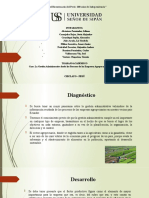 La Gestión Administrativa Desde Los Procesos de Las Empresas Agropecuarias en Ecuador