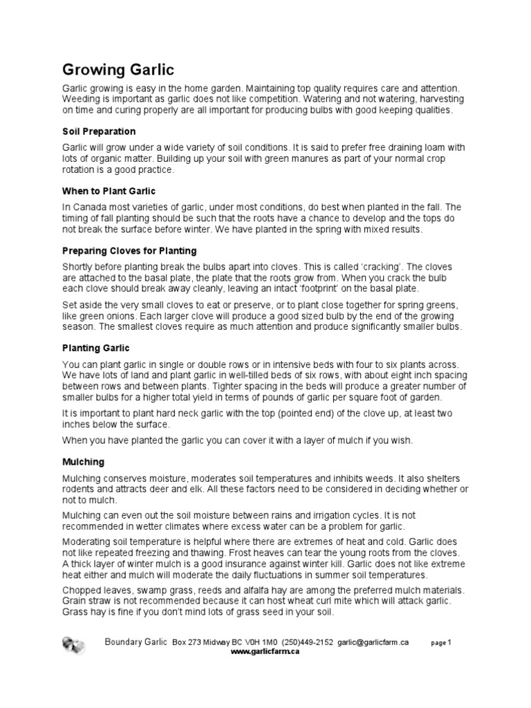 Growing Garlic PDF Garlic Mulch