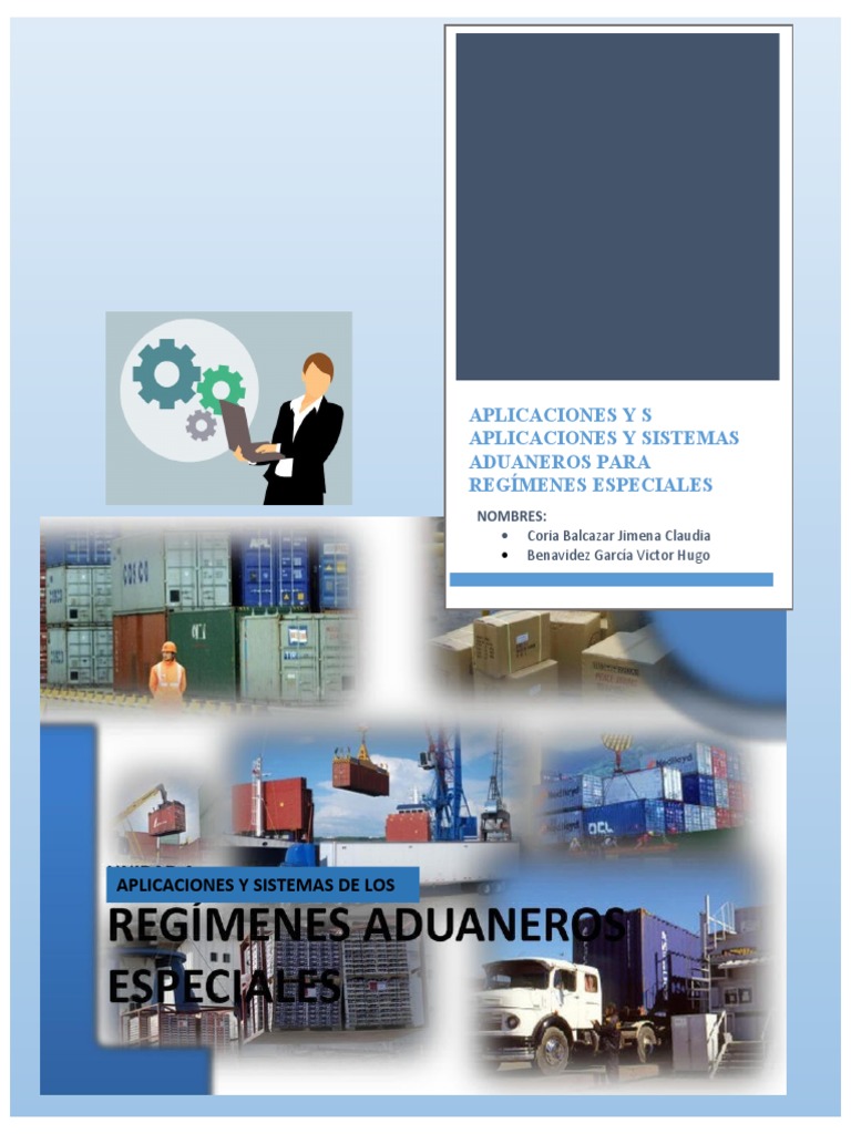 Aplicaciones y Sistemas de Regimenes Aduaneros Especiales | PDF ...