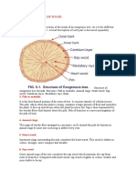 The Structure of Wood TP 1