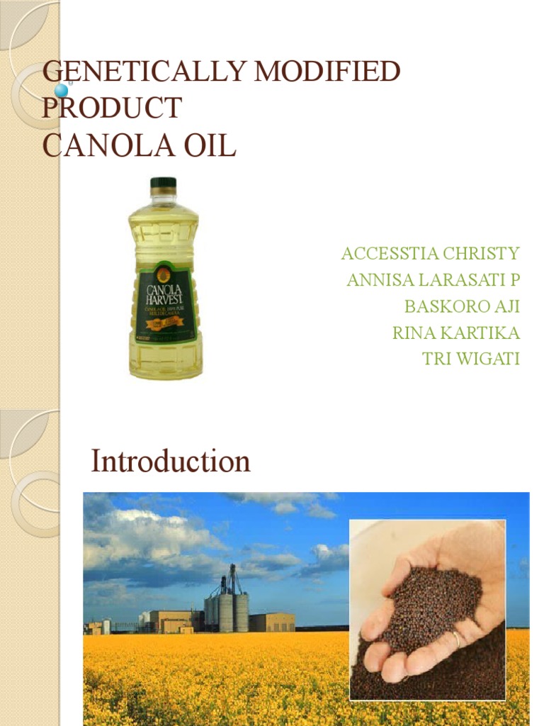 Modified Product Canola Oil PDF Rapeseed Crops