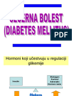 Diabetesmellitusseminar