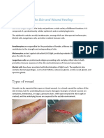 The Skin and Wound Healing
