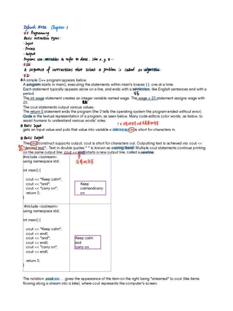 Programming basics | PDF | C++ | Variable (Computer Science)