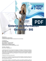 Sistema de Informacion Gerencial (1)