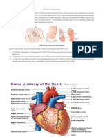 Anatomi Fisiologi Jantung