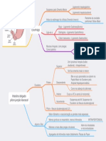 Anatomia Do Trato Gastrointestinal - Estômago e Intestino Delgado