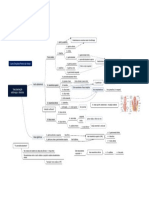 Anatomia Do Trato Gastrointestinal - Vascularização Do Estômago e Intestino