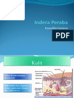 Indera Peraba