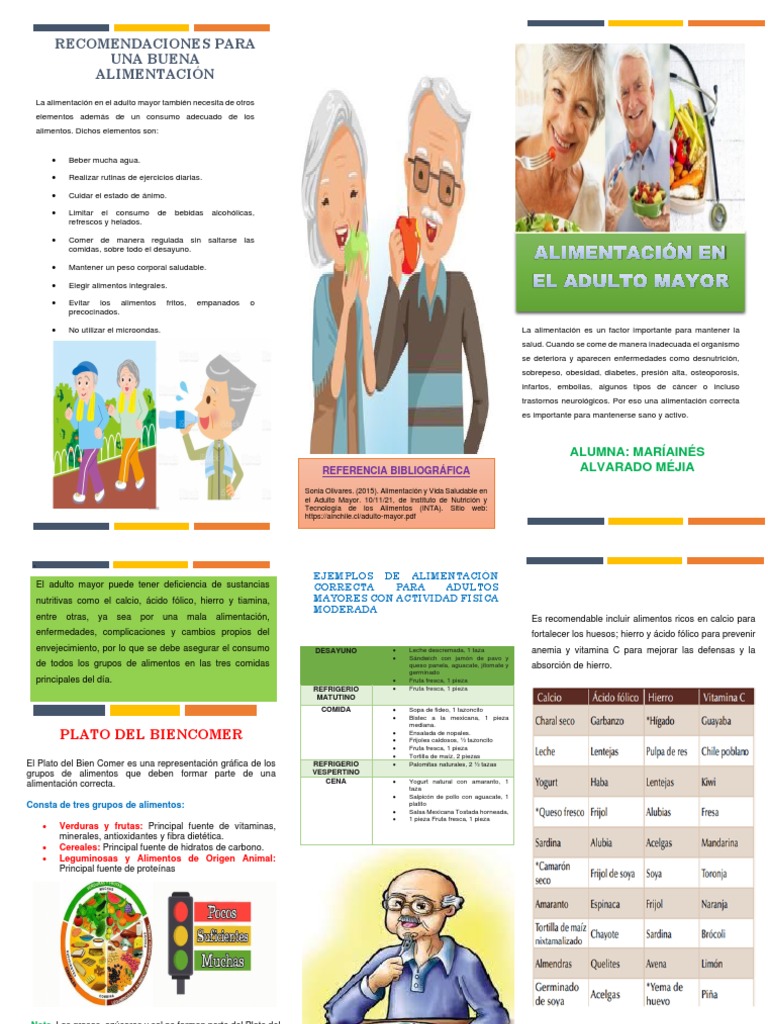 Alimentación Saludable para Adultos Mayores | PDF | Alimentos | Nutrición