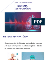 Sistema Respiratorio