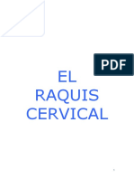 Osteopatía- Raquis Cervical