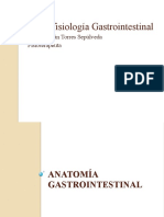 Morfofisiología Gastrointestinal