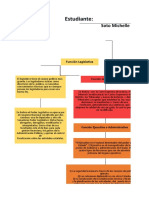 Mapa Naturaleza Del Estado