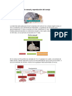 Ciclo Sexual y Reproducción