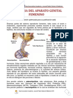 FISIOLOGIA DEL APARATO GENITAL FEMENINO