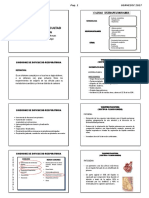 Neonato 3 Completo Alumno 2017 PDF