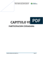 8. Cap. VIII - Participacion Ciudadana (1)