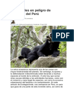 20 Animales en Peligro de Extinción Del Perú