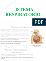 Sistema Respiratorio 1 y 2 de Secundaria