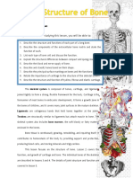 Skeletal System Lesson 1