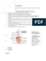 Generalidades Del Sistema Digestivo