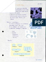 Periodoncia 4