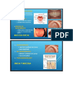 periodoncia 20-09-2021