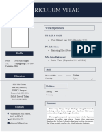 Modern Resume Template