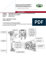 Liceo de Cagayan University: Worksheet