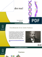 Ácidos Nucleicos ARN ADN