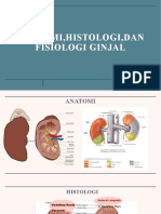 Anatomi, Histologi, Dan Fisiologi Ginjal