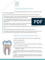 Células Madre Dentales Tratamientos Regenerativos