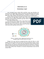 Pertemuan 10 Metabolisme Lipid-Compressed