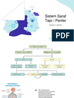 Sistem Saraf Tepi (Perifer)