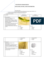 p2 Materi Prak Farmakognosi - Seftigita Yulianto