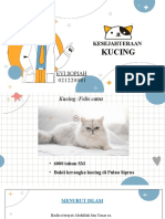 16.evi Sopiah Kesejahteraan Kucing