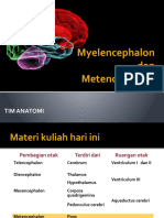 13a. Myelencephalon Dan Metencephalon