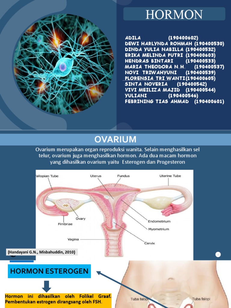 Hormon Manusia | PDF
